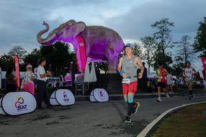 BIB: 
                            <button type="button" onclick="openModal(26529526)" class="btn btn-primary btn-sm float-right btn-popup" data-toggle="modal" data-target=".modal-high-quality">
                        <i class="fas fa-shopping-cart"></i> Add to Cart
                    </button>
                                            <button type="button" onclick="isThisMe(26529526, true)" class="btn btn-success btn-sm float-right btn-popup btn-isme hidden" data-toggle="tooltip" data-placement="bottom" title="นี่คือรูปของคุณใช่ไหม คลิกที่นี่เพื่อเอาเข้าอัลบั้ม">
                        <i class="fas fa-plus"></i> Add to album
                    </button>
                    <button type="button" onclick="isThisMe(26529526, false)" class="btn btn-warning btn-sm float-right btn-popup btn-isnotme hidden">
                        <i class="fas fa-ban"></i> Remove from album
                    </button>